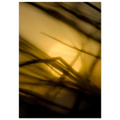 9c830169-de14-4e30-9f8a-f0997d881496
