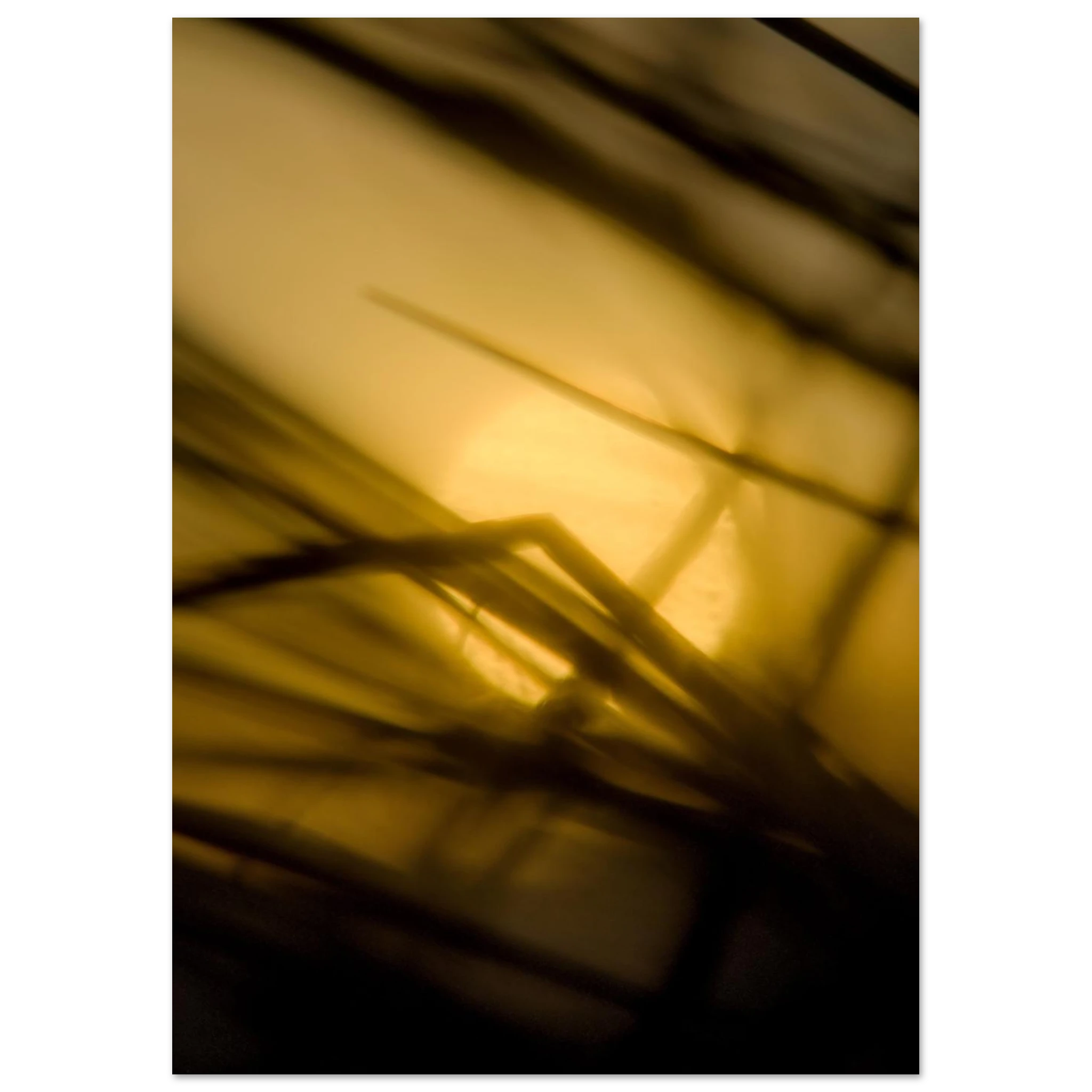 9c830169-de14-4e30-9f8a-f0997d881496