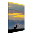 9d132b0b-f360-46fd-ab82-7236282457dc