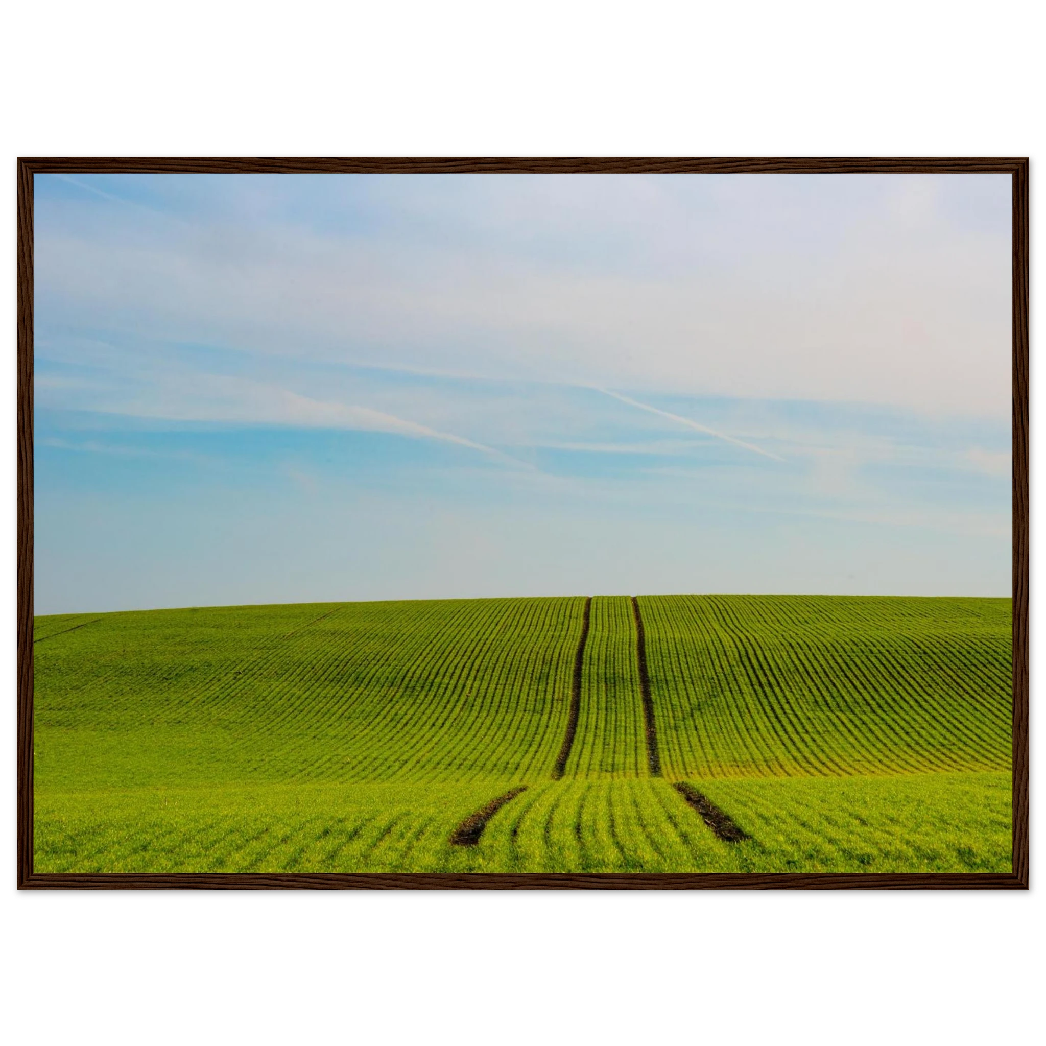 9da7c4ea-2488-4aea-8f73-52205b1ba3e8