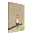 a0197205-6662-42e5-8e59-85752084b47b