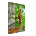 a0efb79c-f882-490e-b91f-c1f3638337ec