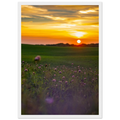 a115674c-eaef-485d-b33d-4bb4a7cd1ea2