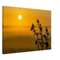 a1ad22fd-97b6-45d5-8ac9-aac7c40d186e