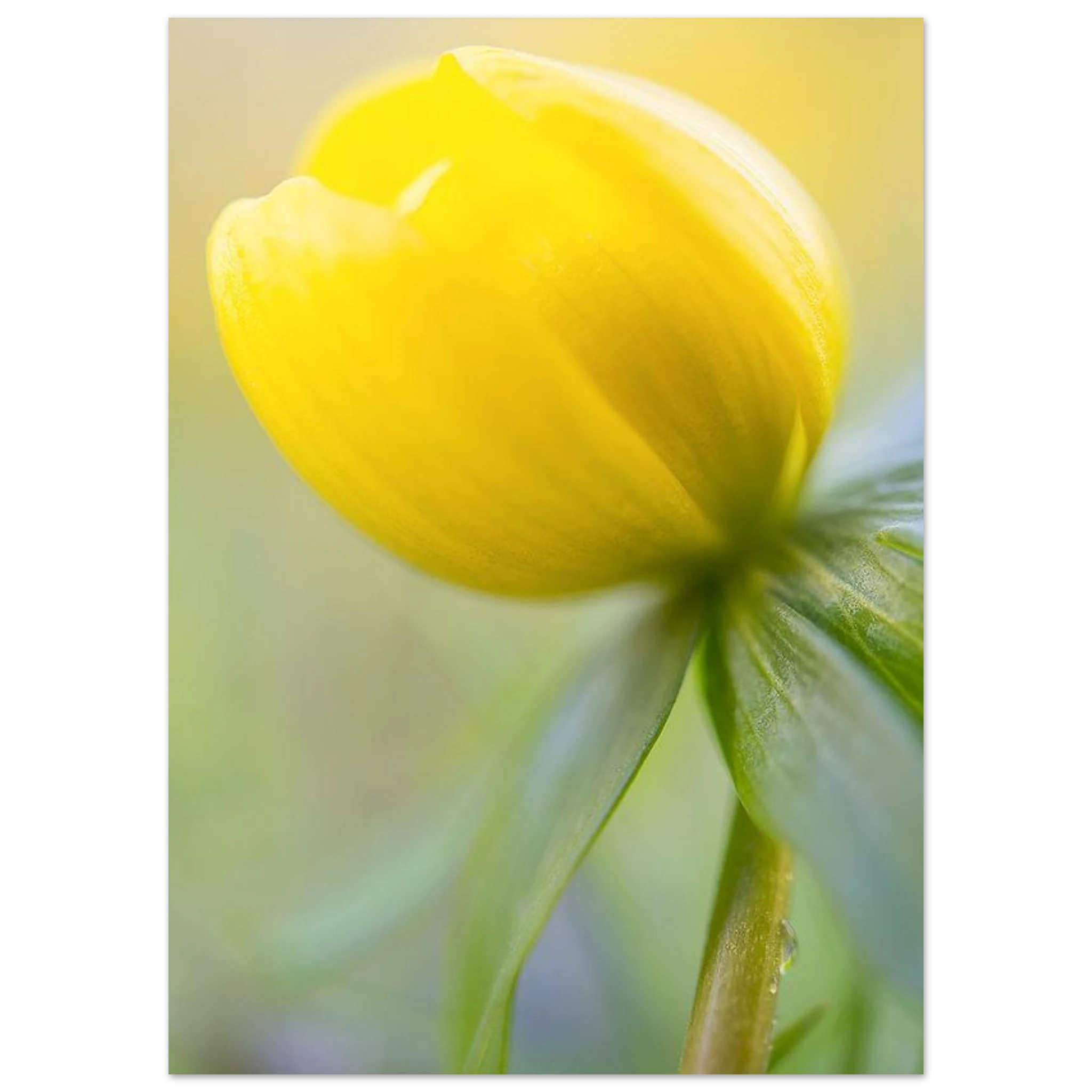 a47985de-3a65-47b5-a581-dedae513b870