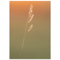 a4a23801-27b5-4d6b-a8c9-390e5290ba4b