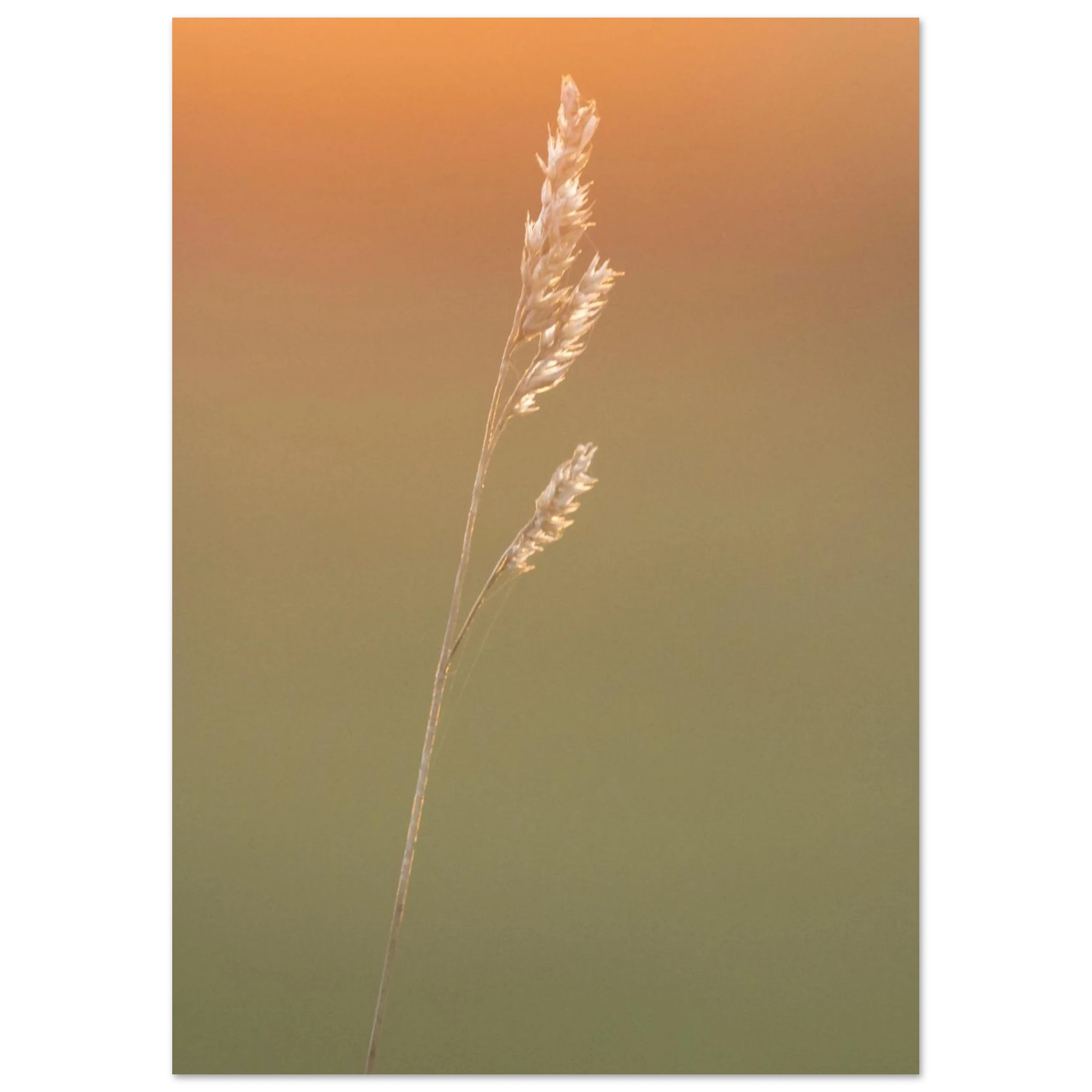 a4a23801-27b5-4d6b-a8c9-390e5290ba4b