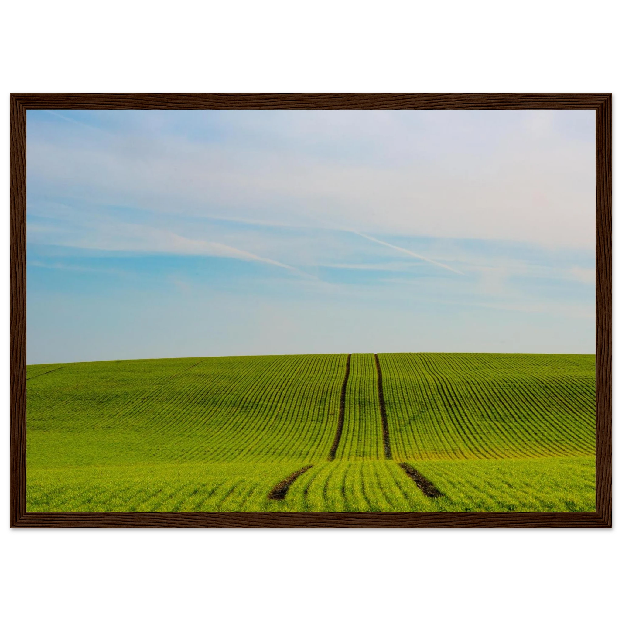 a55a3d4c-73fe-4087-b291-c5adfc4127df