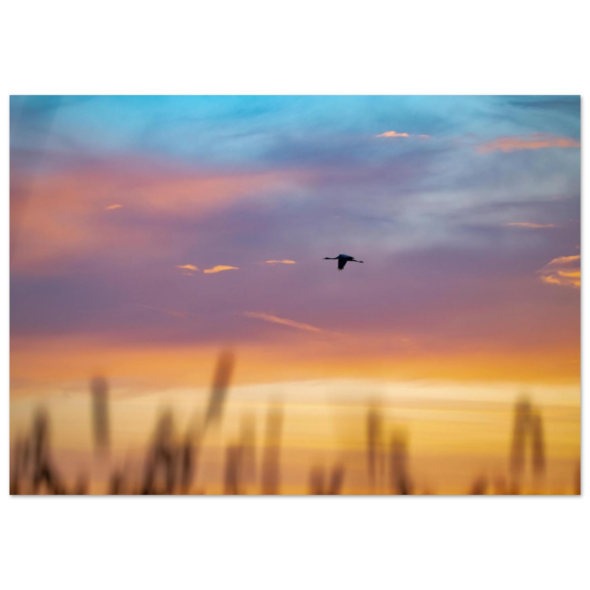 a58b3bcc-e27f-4d2c-a0f9-eb17a25d7d62