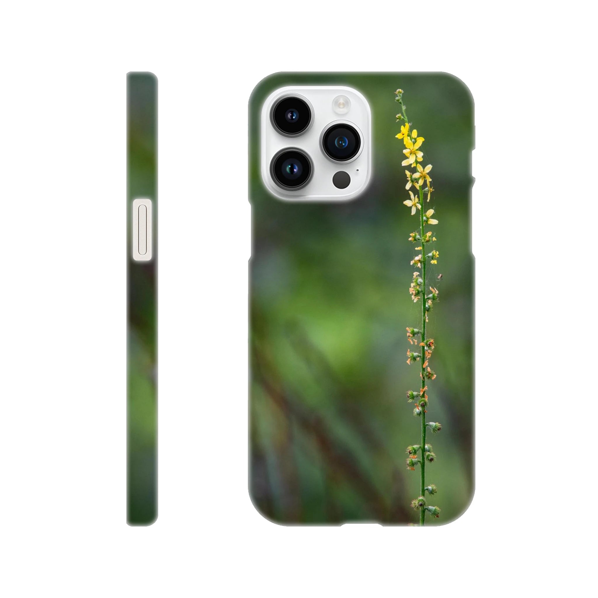 a60c9b9b-9651-4b0e-9178-203e56cb3b39