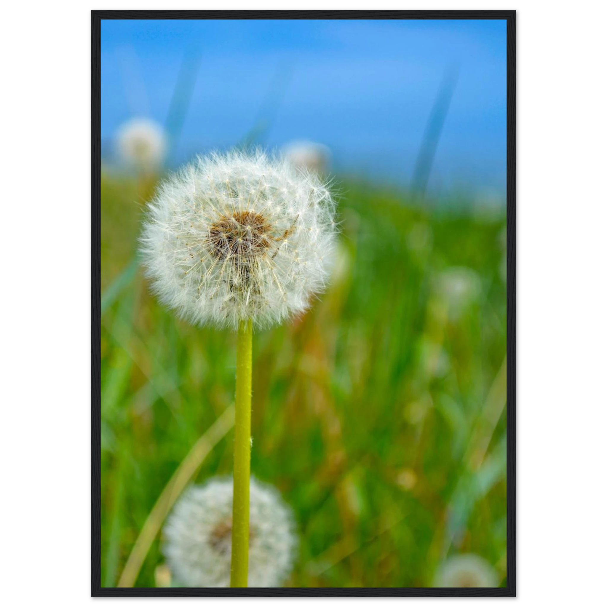 a718421c-df41-4c77-a531-f4c661a22663