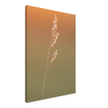 a779555c-79af-4fe9-b365-89115b73c348