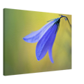 a7cbef0f-98de-46b4-a9e6-f4e641b98470