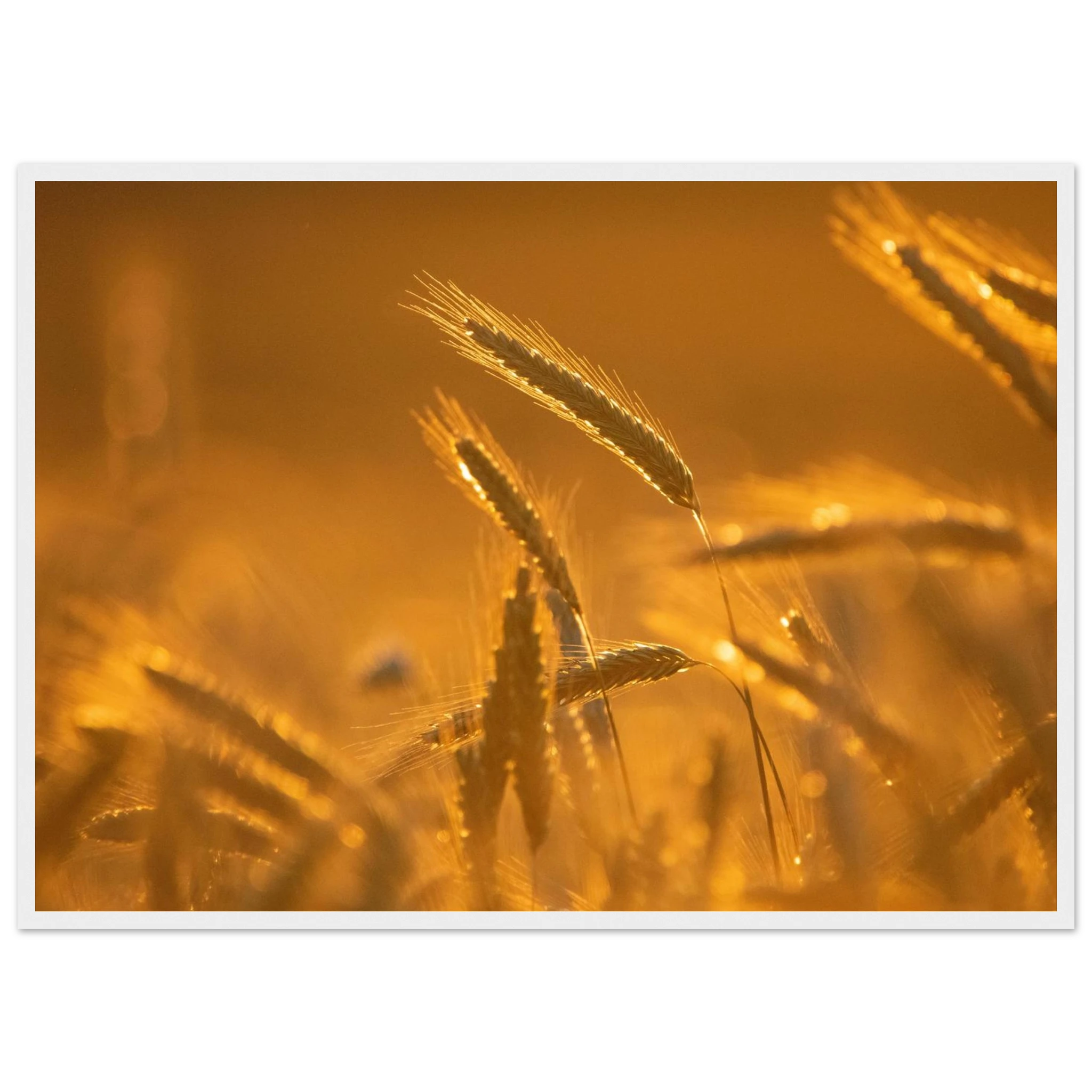 a7d03e55-981f-4fe5-b0fd-8612a6127d5a