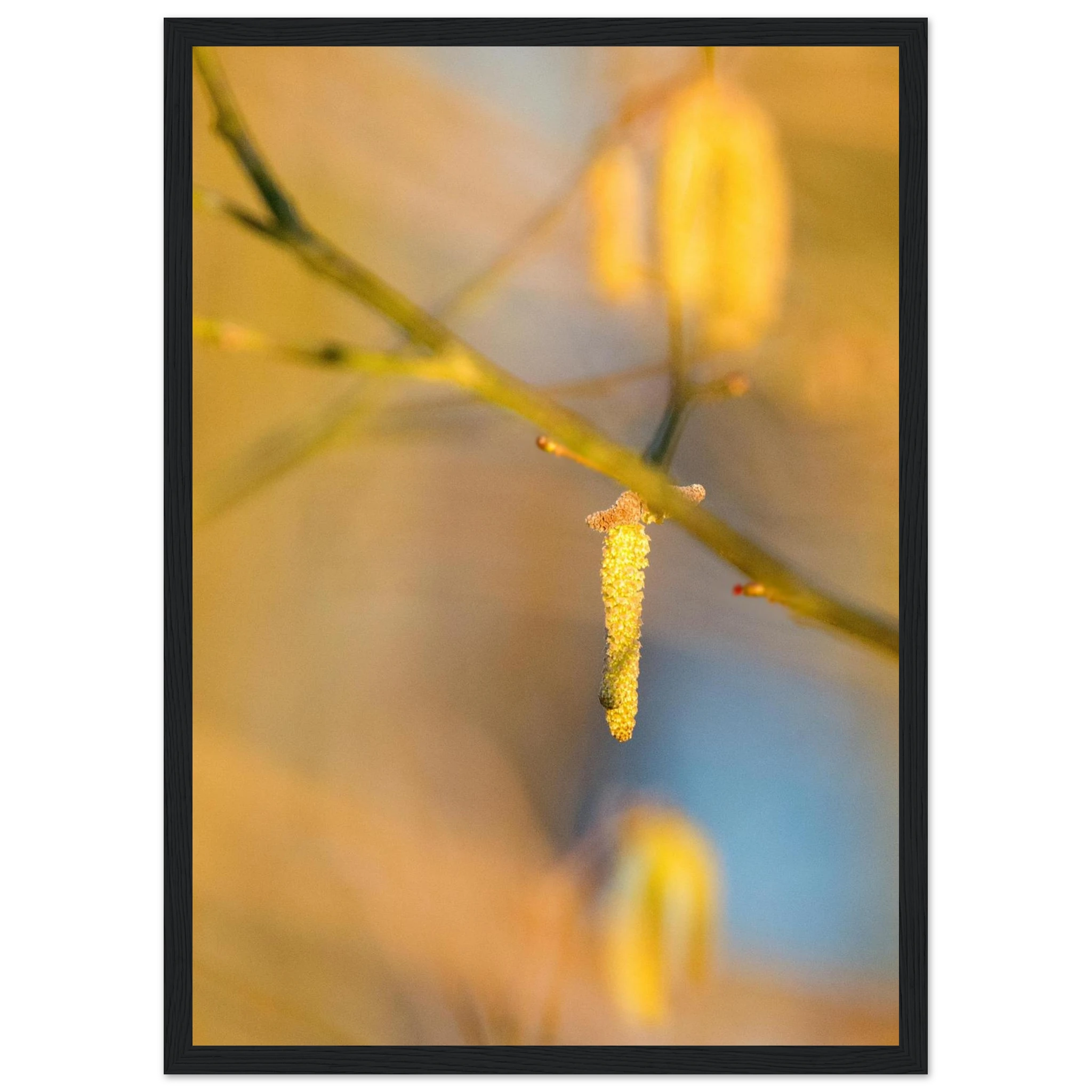 a9952070-4eb7-45ed-8a93-f3b66c63df2c