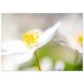 aa4c776f-bc10-44a0-a875-484d995c904c