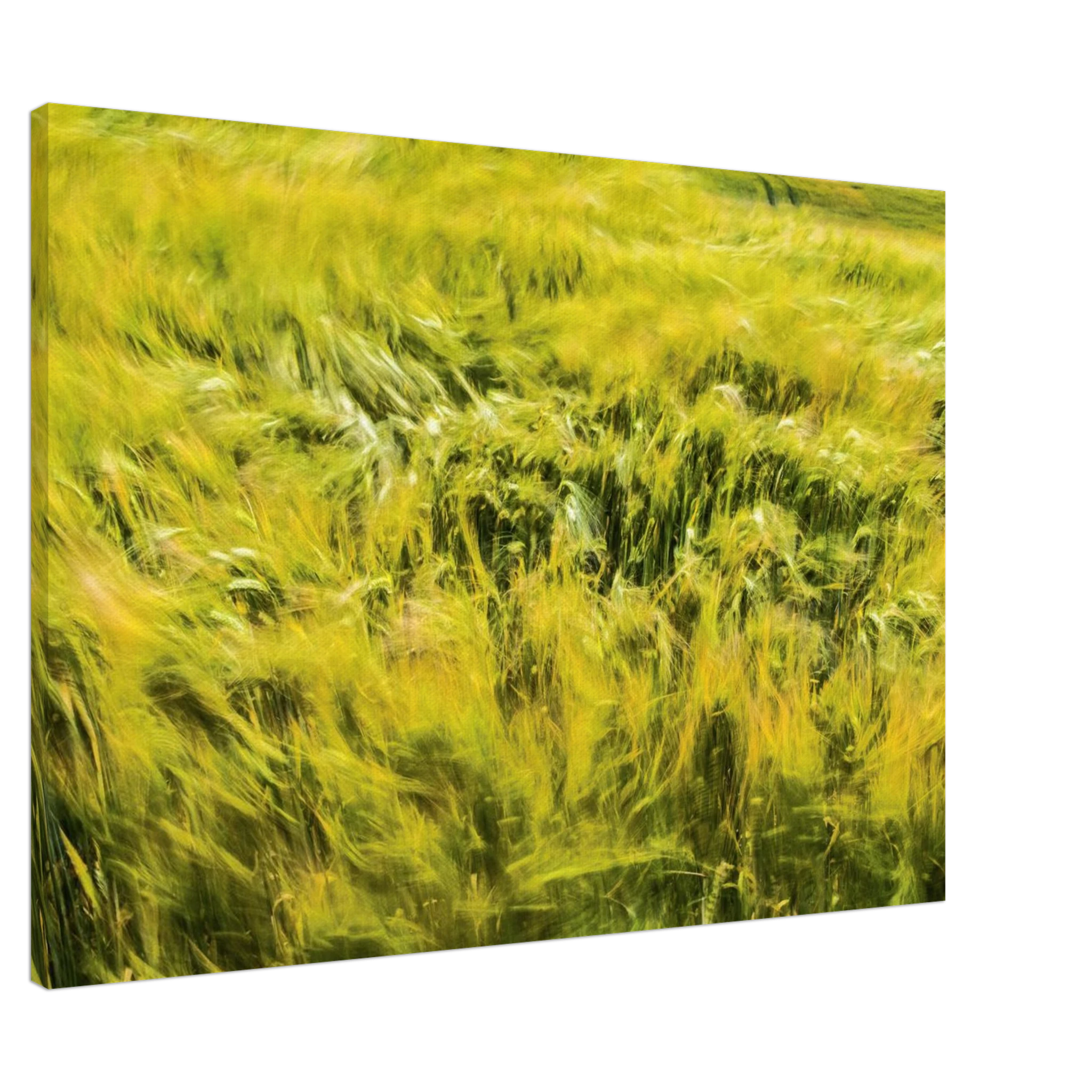 ab16db04-6d13-4175-81ea-215c22e68f62