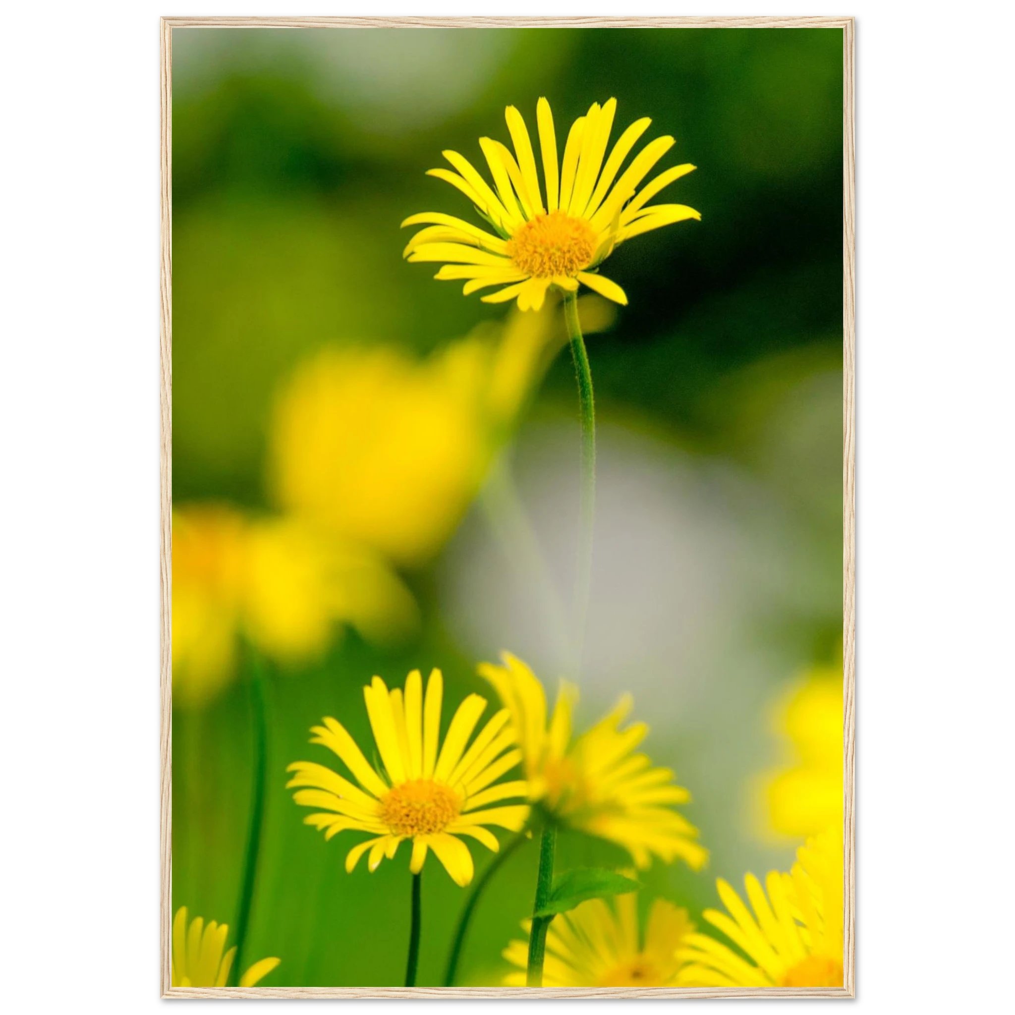 ab28ed65-ce07-4f70-af2f-42ce7a95097f