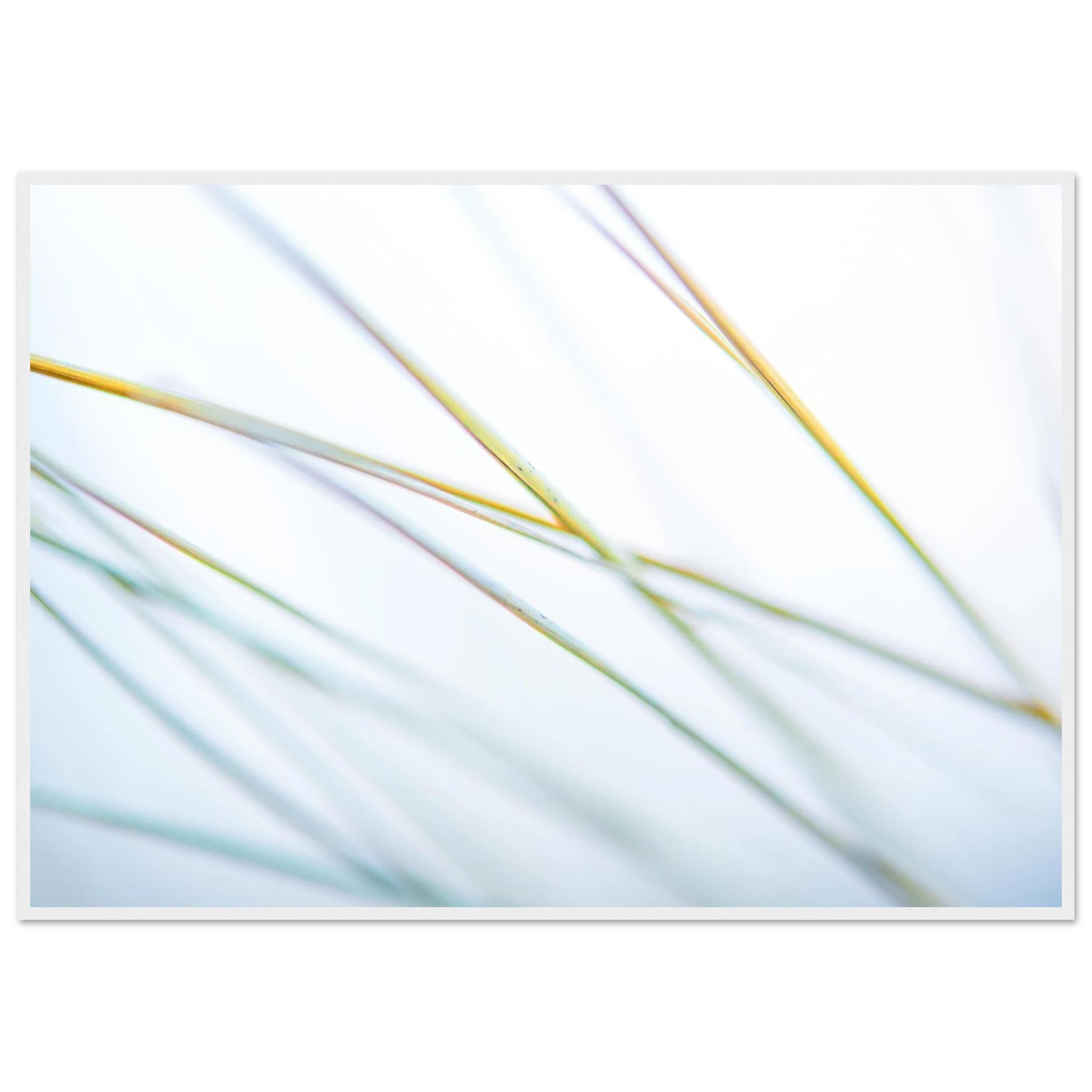 ab5523e2-77e8-4316-b6c9-a32a15434ab0