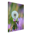 abb7dacb-f7ee-4bb1-8b97-9629f2cee404
