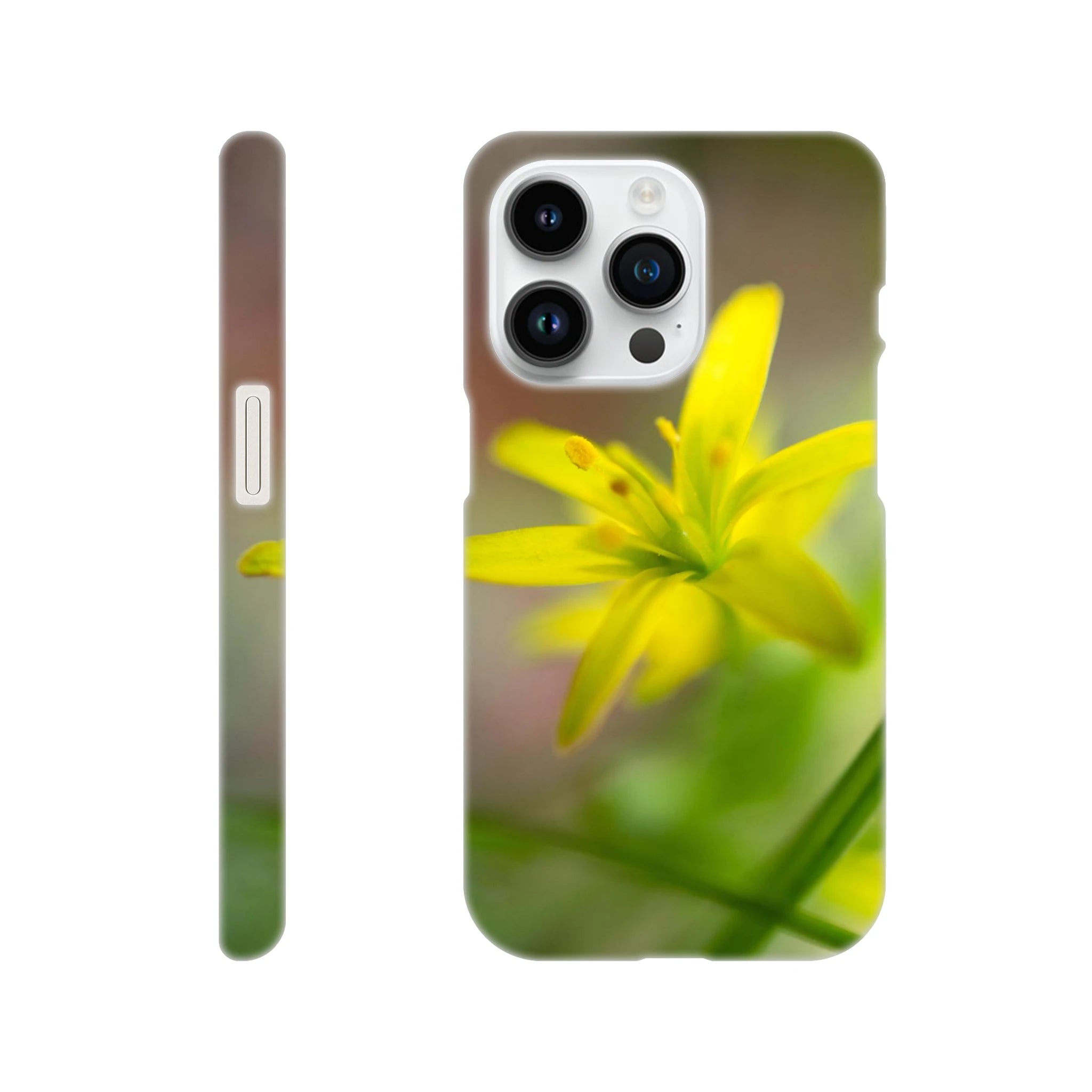 ac9119d2-0fb1-47db-b094-e6476c6d0e3a