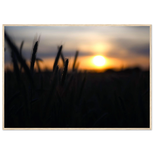 ad1fc2b6-5f19-409f-a858-4efa4f3e5925
