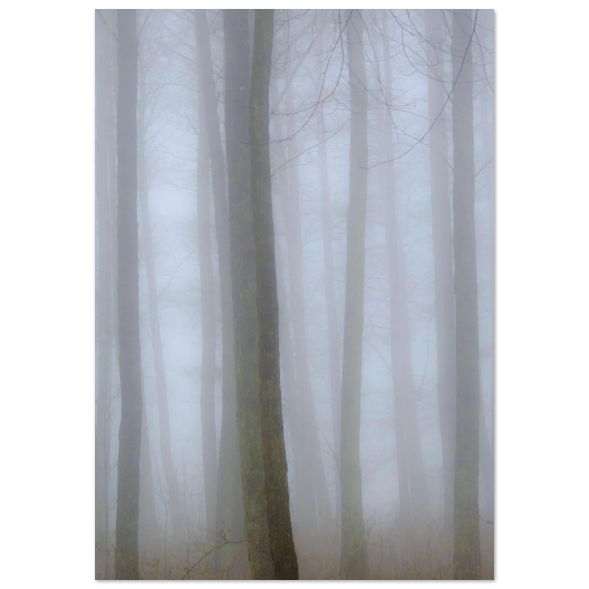 ad8487d5-2110-4e20-b99c-870c7120c623