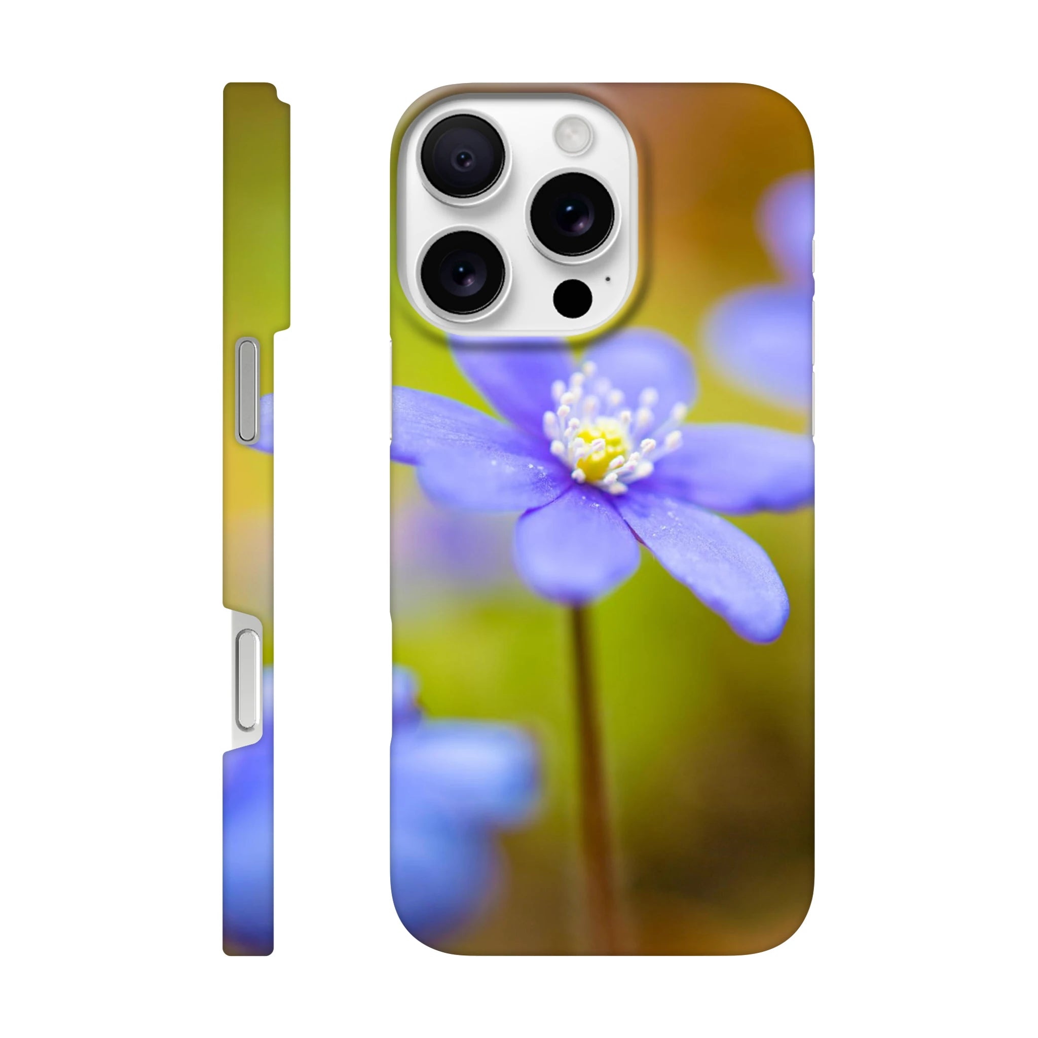 ad99156d-7584-4f38-90da-e16ef5e9a379