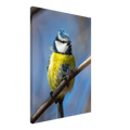 ae452de4-8eb8-4b72-9785-5c53dbbba88f
