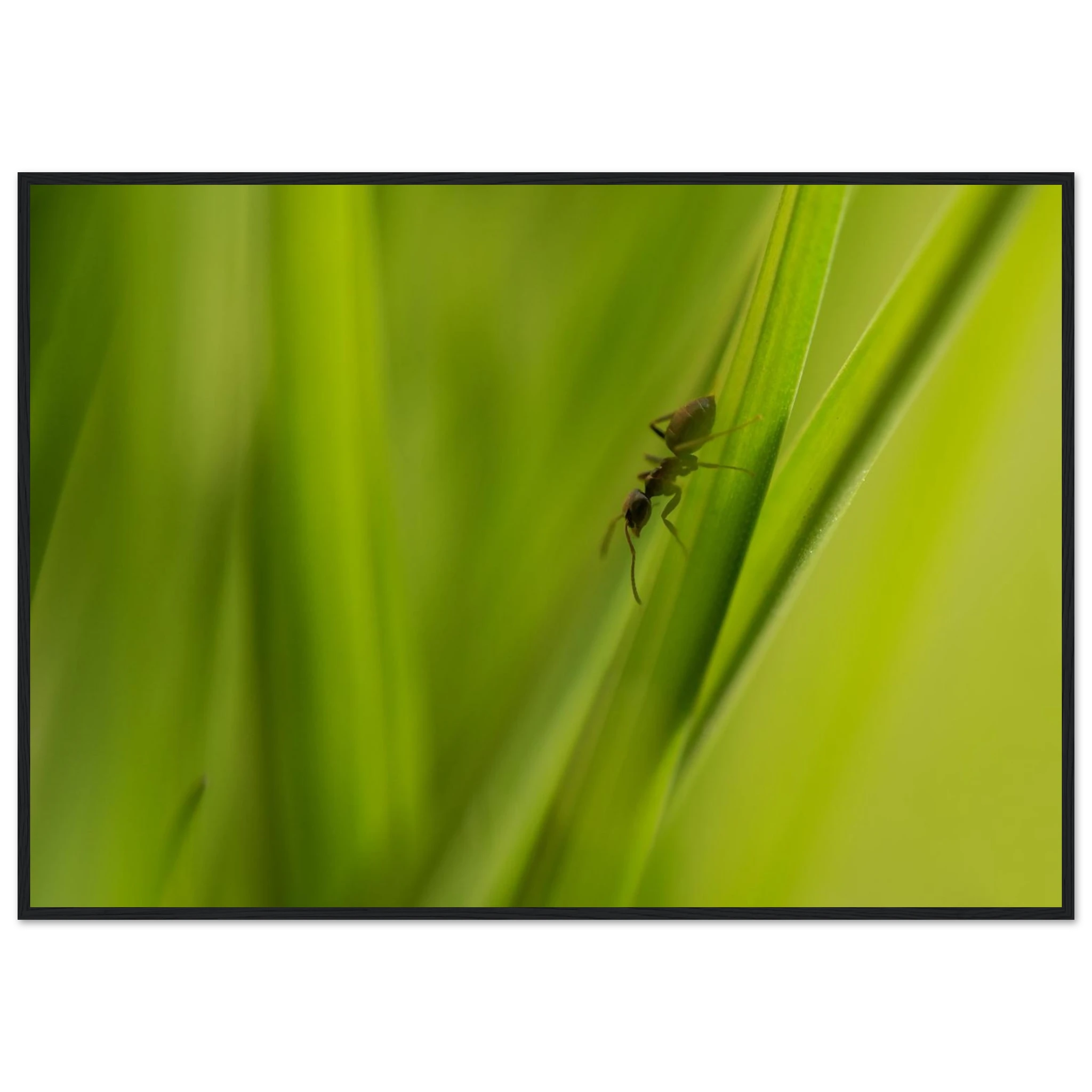 aff67422-8ec8-434b-a526-03d7f2a25983