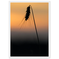 b0146935-ecda-463e-a195-c40768406883