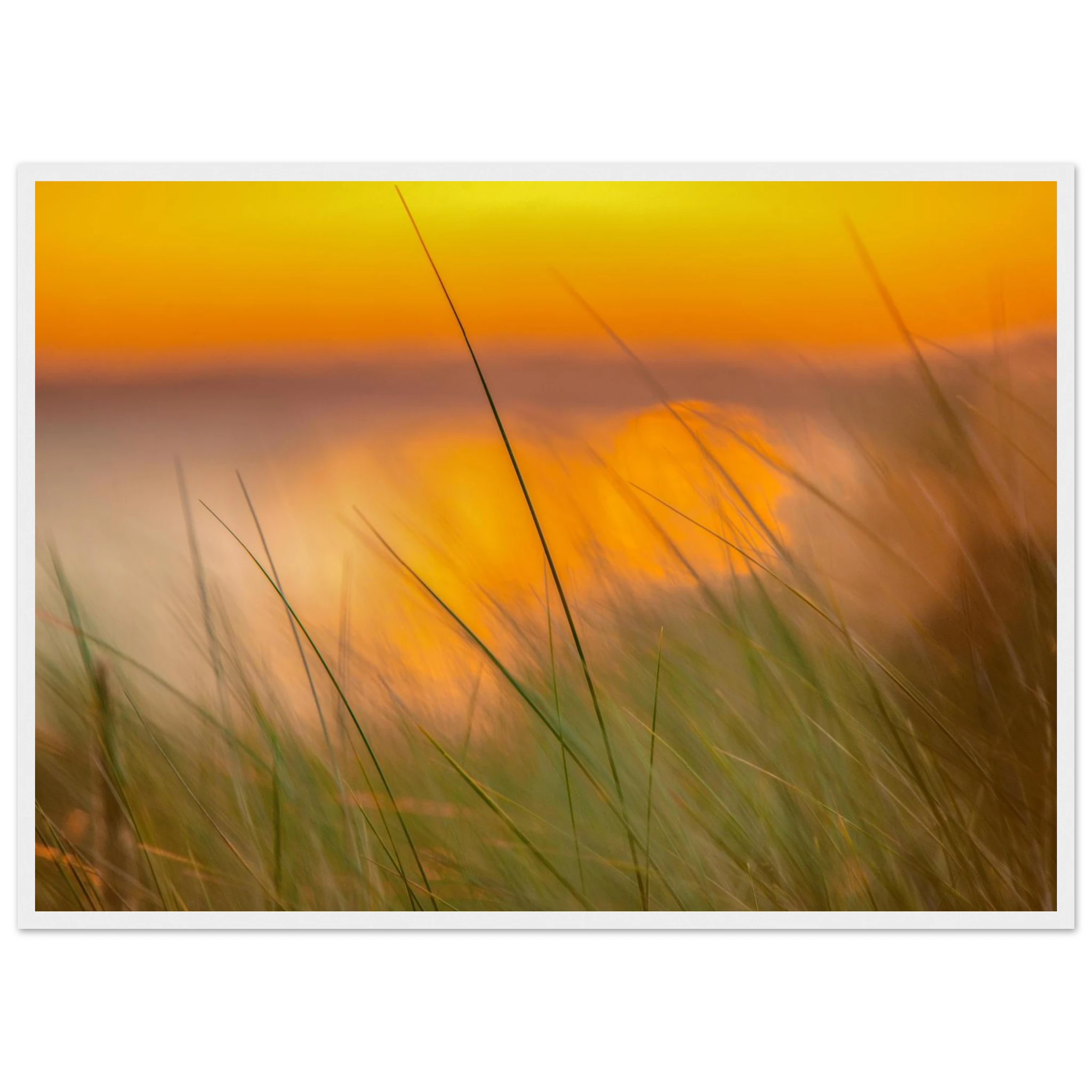 b0494cd8-9a01-4e65-ad17-1c682ef7f450