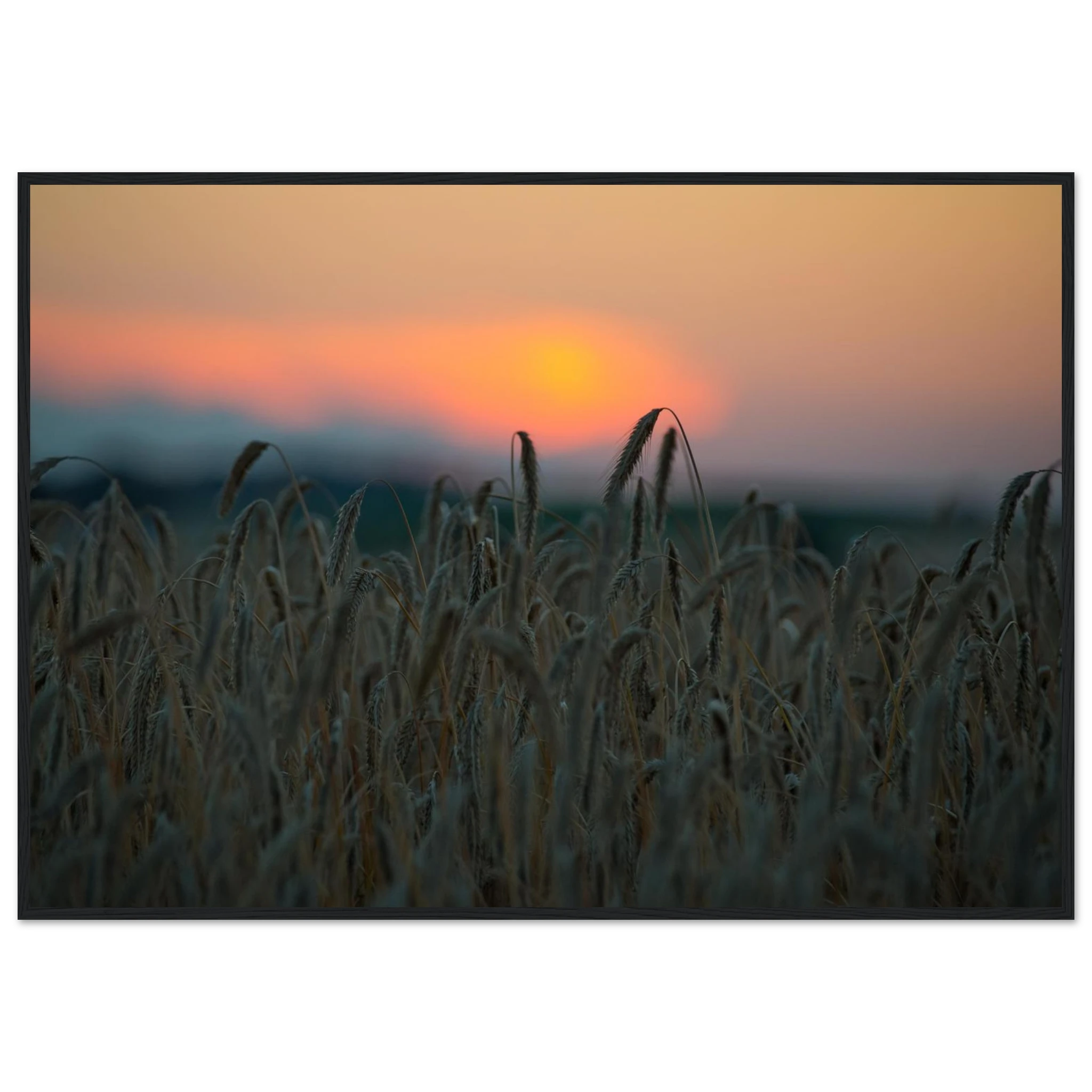 b05d585c-f6b0-457b-8282-5aecdb8ca5e5