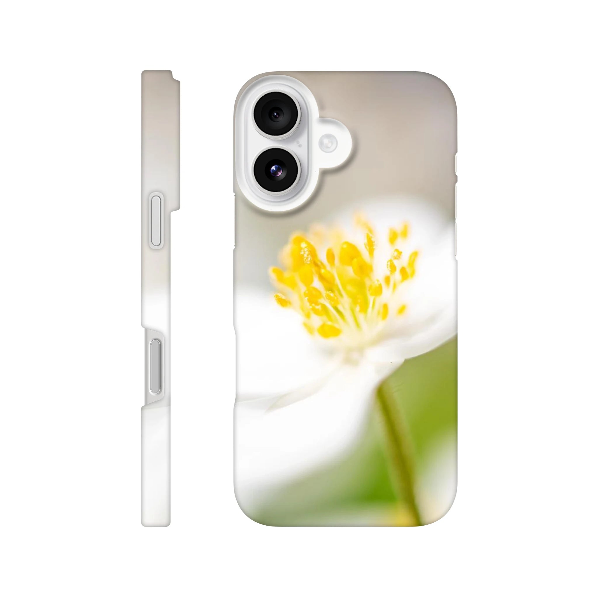 b0de9c33-4846-48f0-b846-14a42531d676