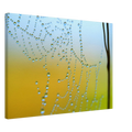 b1149d00-0762-467c-9dec-0a0985b9a283