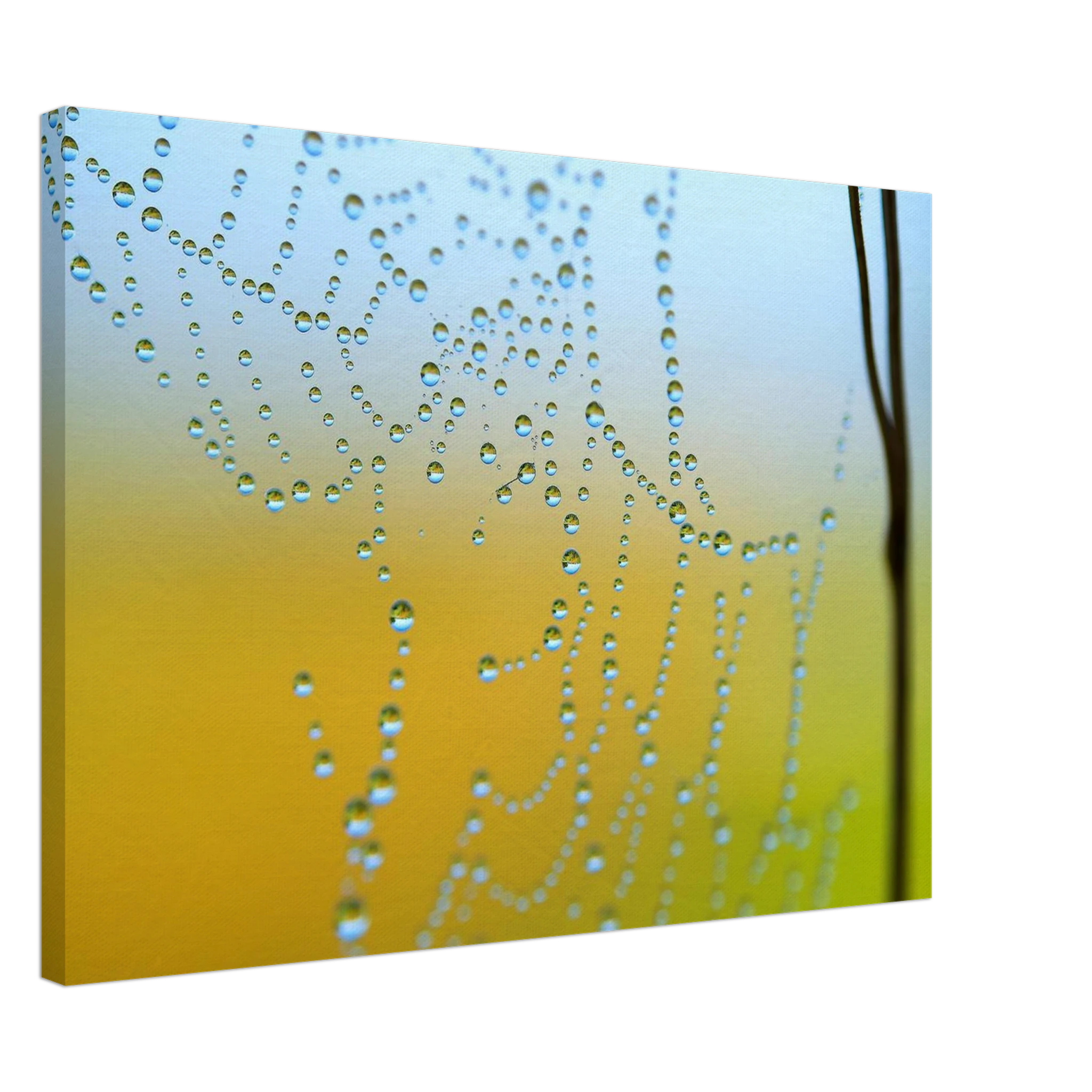 b1149d00-0762-467c-9dec-0a0985b9a283