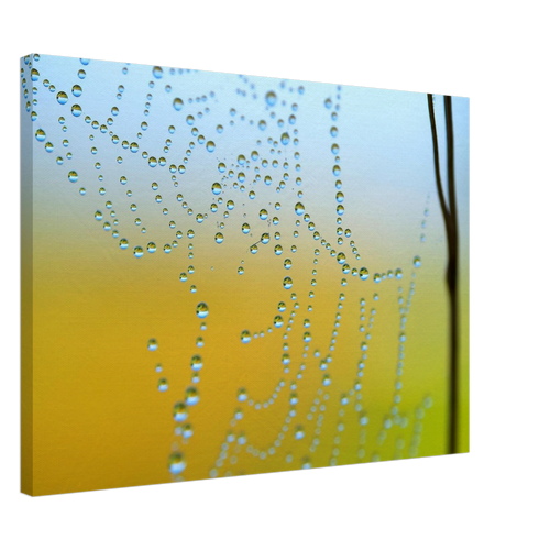b1149d00-0762-467c-9dec-0a0985b9a283