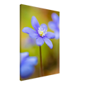 b466e567-28a7-44d4-901c-6a2675e9902b