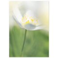 b49c8041-0718-452b-9e08-d5b2ea538fc7