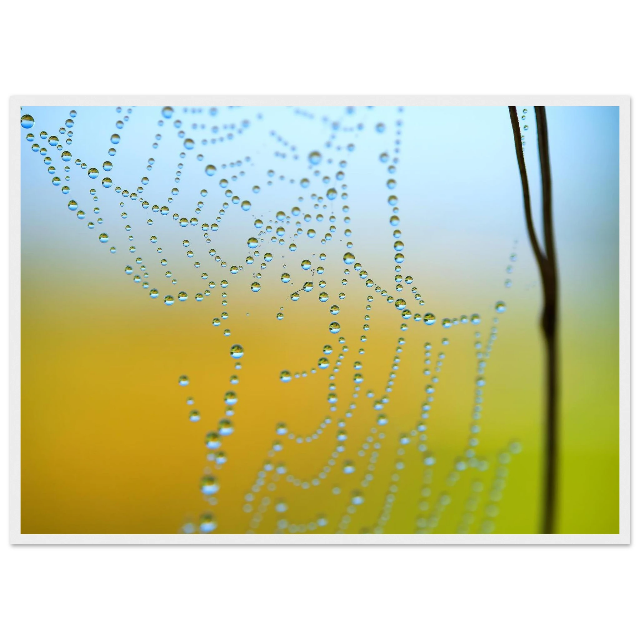 b59e5032-249f-4803-81c6-1dccbd9dc818