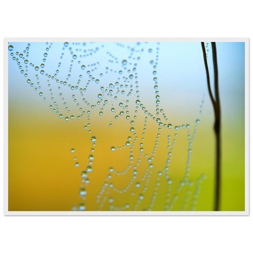 b59e5032-249f-4803-81c6-1dccbd9dc818