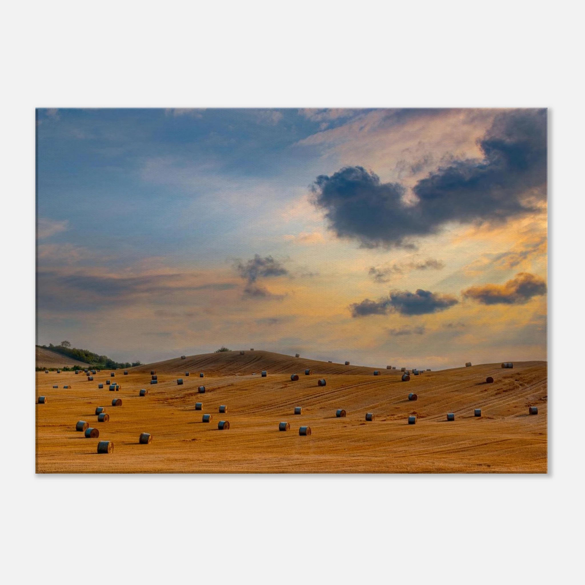 b5e94875-c4f1-41bd-9515-49ddc193bc16