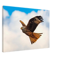 b6341189-f50c-4223-99fa-06b69462f5a0