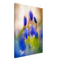 b66710b5-9356-47d9-a219-1f74cb9172ca