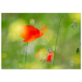 b6f5b09a-2475-4606-8dac-f9c3415b784d