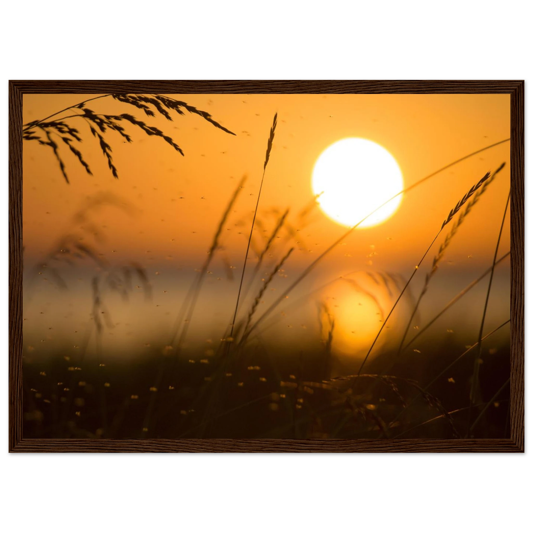 b7026d69-93e8-41b4-9665-5903e56f92e2