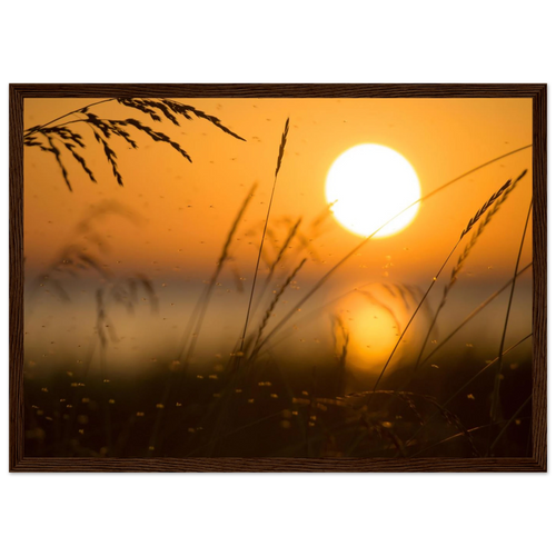 b7026d69-93e8-41b4-9665-5903e56f92e2