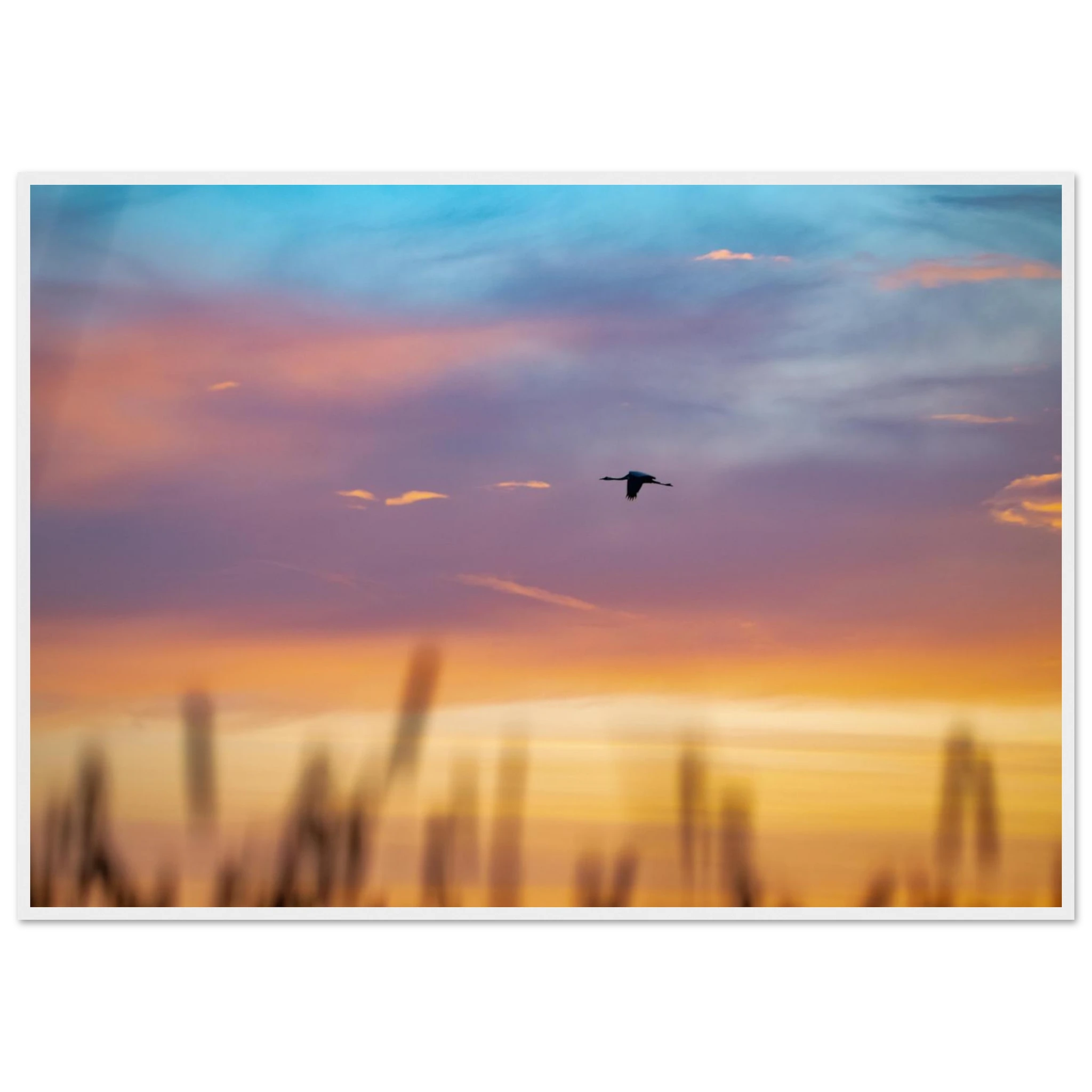 b82b5417-e837-4945-b3b0-b87aff75e7c5