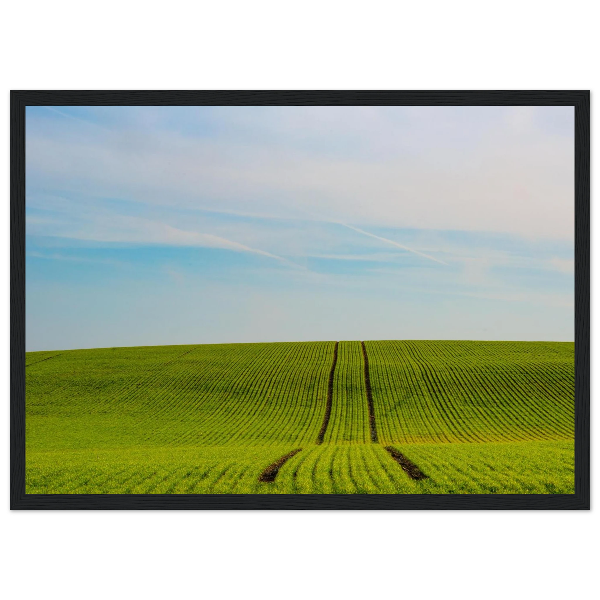 b911bfa7-0847-4871-940d-099588e660e7
