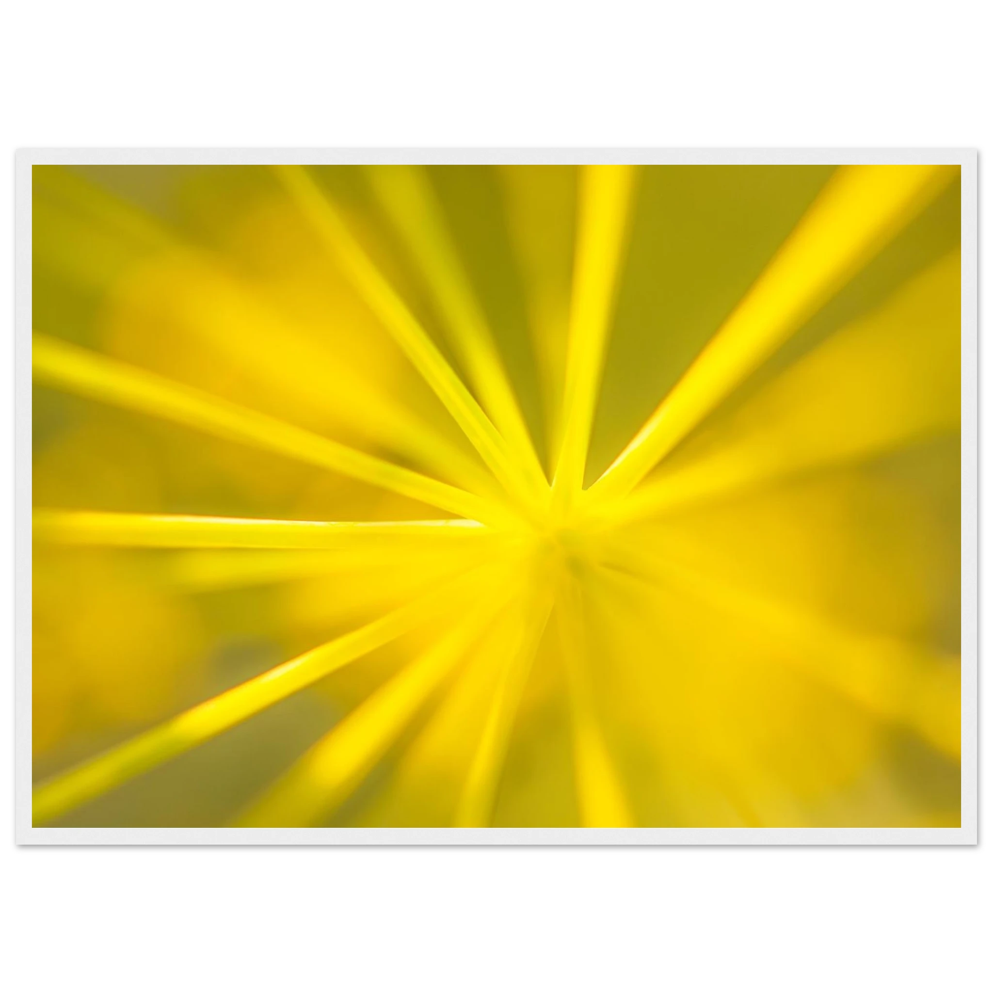 b97c5db0-a5ca-4ece-90b6-2ebf169d4b5b